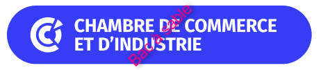CCI Pays de la Loire - bac à sable